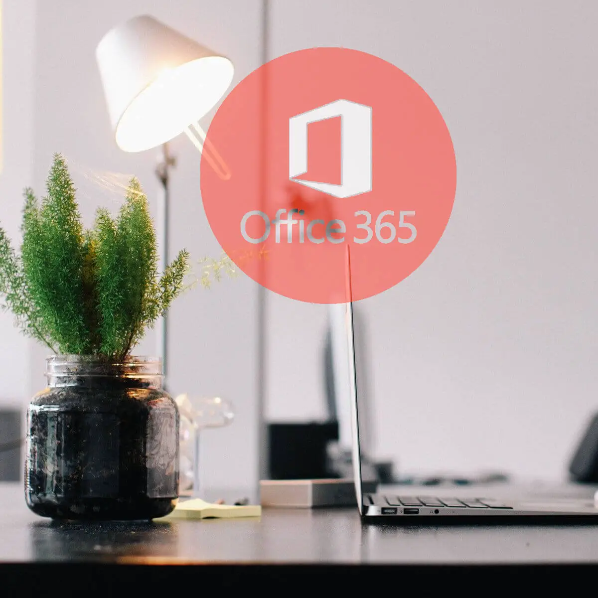 Solución: problemas conocidos de Microsoft Office 365 [Full Guide] -  Expertos En Linea