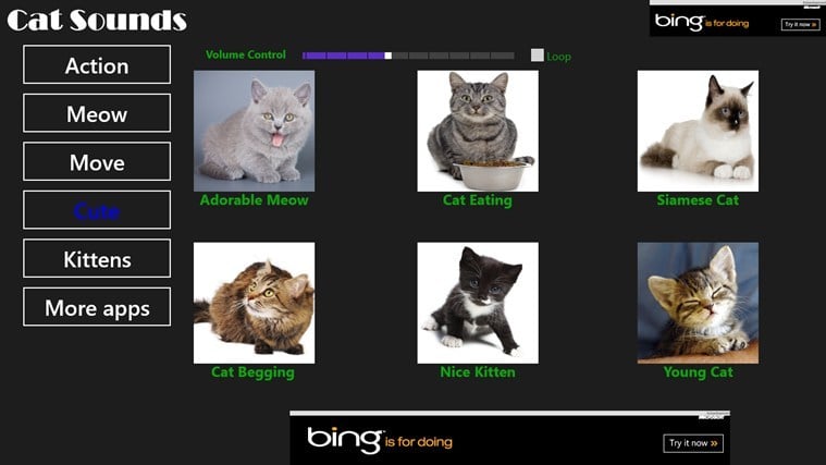juegos de gatos con sonidos de gatos reales para computadora